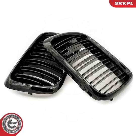 66SKV054 - Radiator Grille 