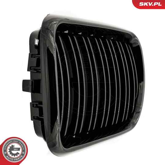 66SKV054 - Radiator Grille 