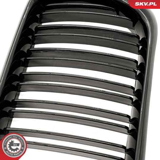 66SKV054 - Radiator Grille 