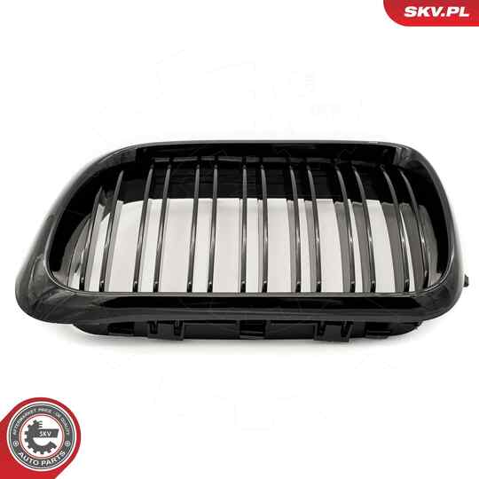 66SKV054 - Radiator Grille 