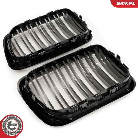 66SKV054 - Radiator Grille 