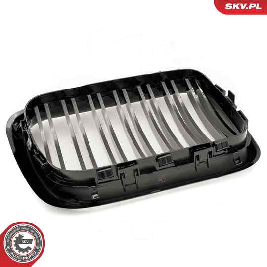 66SKV054 - Radiator Grille 