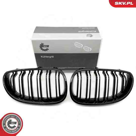 66SKV171 - Radiator Grille 