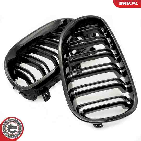 66SKV171 - Radiator Grille 