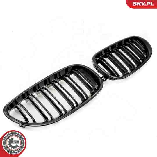 66SKV171 - Radiator Grille 