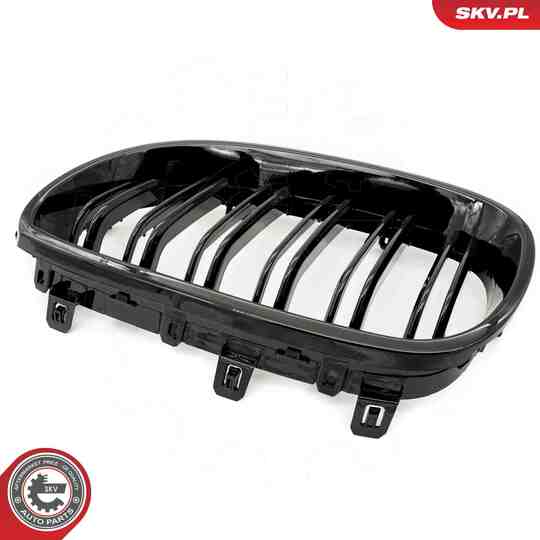 66SKV171 - Radiator Grille 