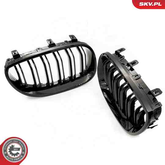 66SKV171 - Radiator Grille 