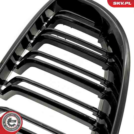 66SKV171 - Radiator Grille 