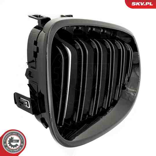 66SKV171 - Radiator Grille 