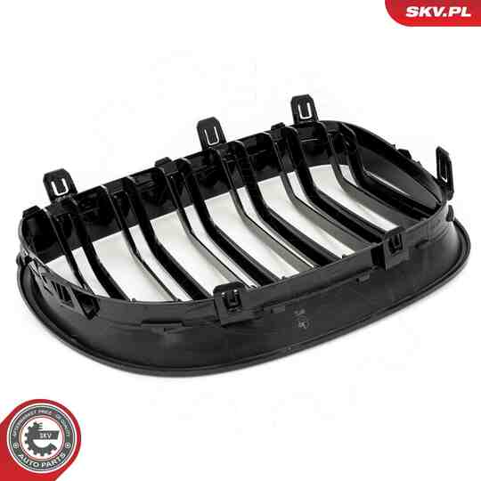 66SKV171 - Radiator Grille 