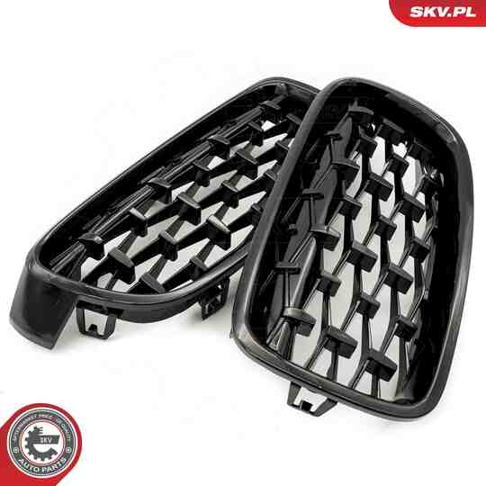 66SKV128 - Radiator Grille 