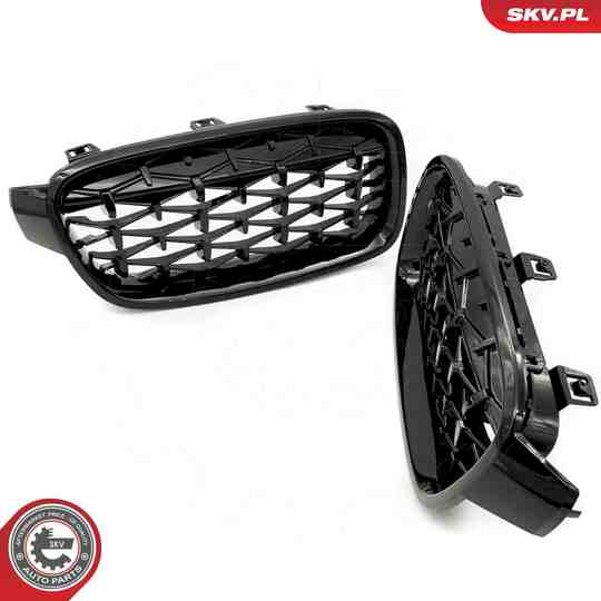 66SKV128 - Radiator Grille 