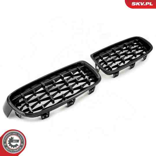 66SKV128 - Radiator Grille 