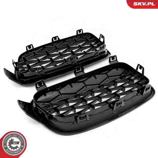 66SKV128 - Radiator Grille 