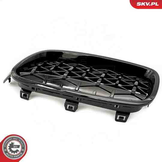 66SKV128 - Radiator Grille 