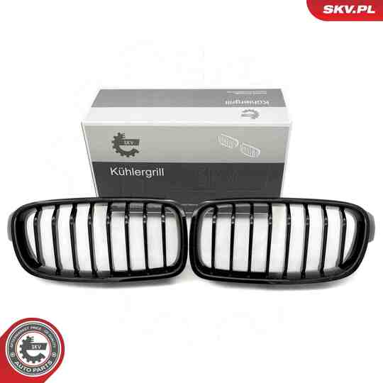 66SKV120 - Radiator Grille 