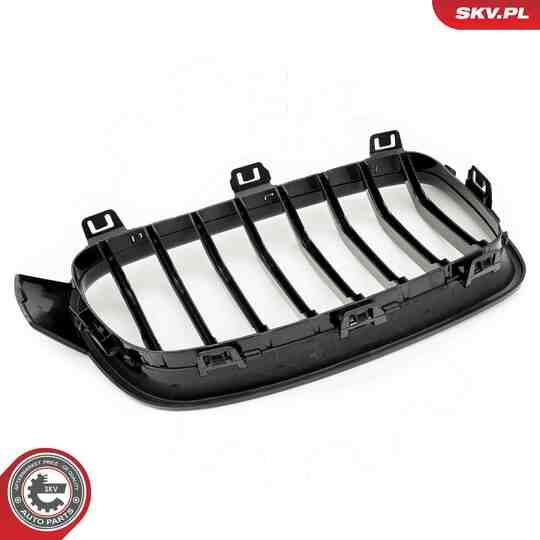 66SKV120 - Radiator Grille 