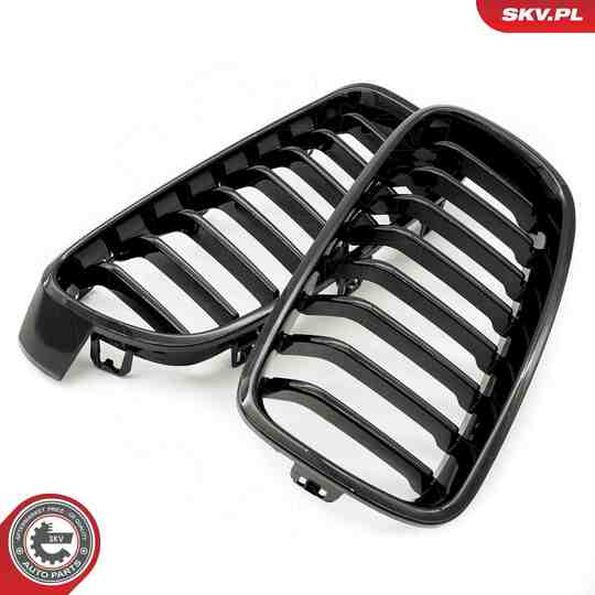 66SKV120 - Radiator Grille 