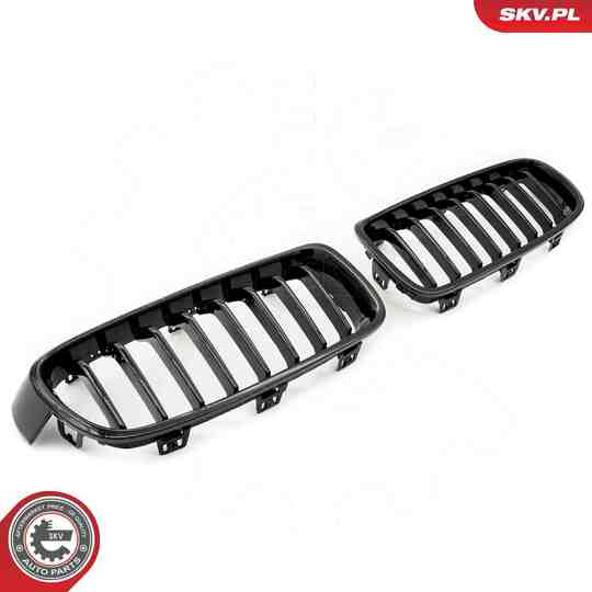 66SKV120 - Radiator Grille 