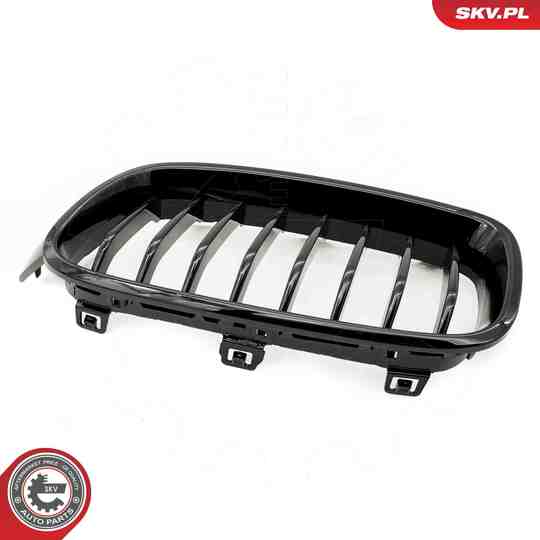 66SKV120 - Radiator Grille 