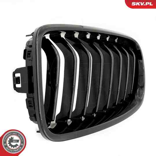 66SKV120 - Radiator Grille 