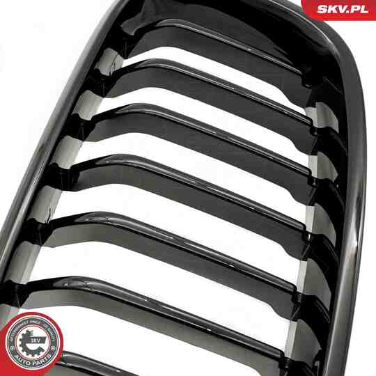 66SKV120 - Radiator Grille 