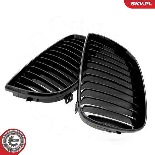 66SKV001 - Radiator Grille 