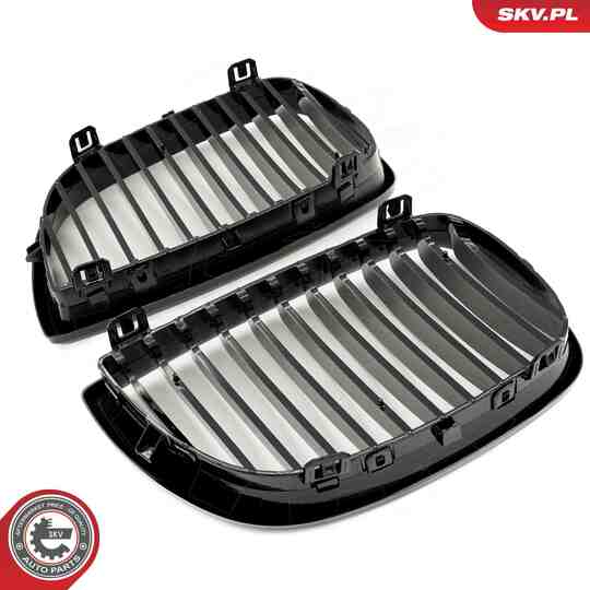 66SKV001 - Radiator Grille 