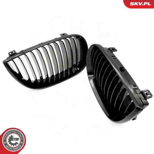 66SKV001 - Radiator Grille 