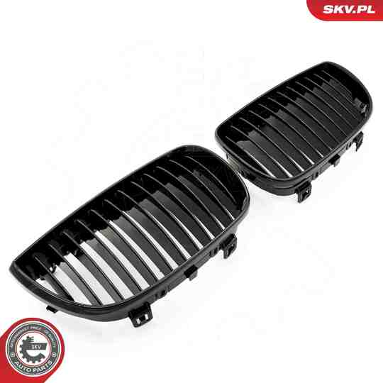 66SKV001 - Radiator Grille 