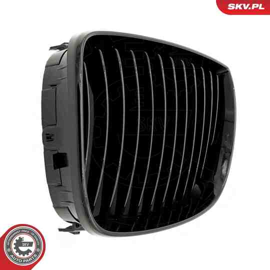 66SKV001 - Radiator Grille 