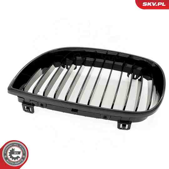 66SKV001 - Radiator Grille 