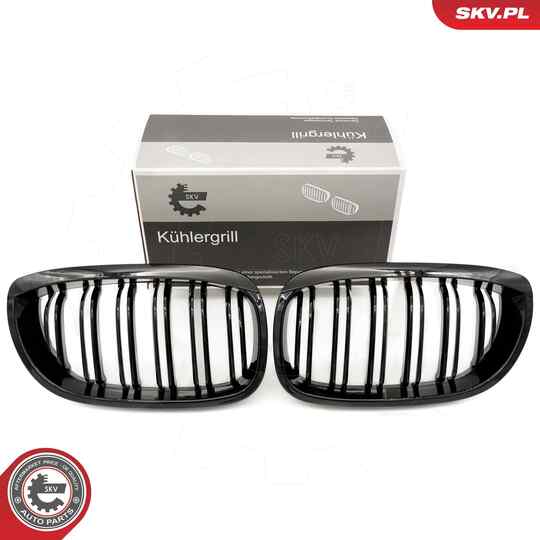 66SKV073 - Radiator Grille 