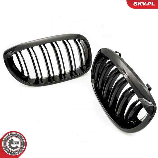 66SKV073 - Radiator Grille 