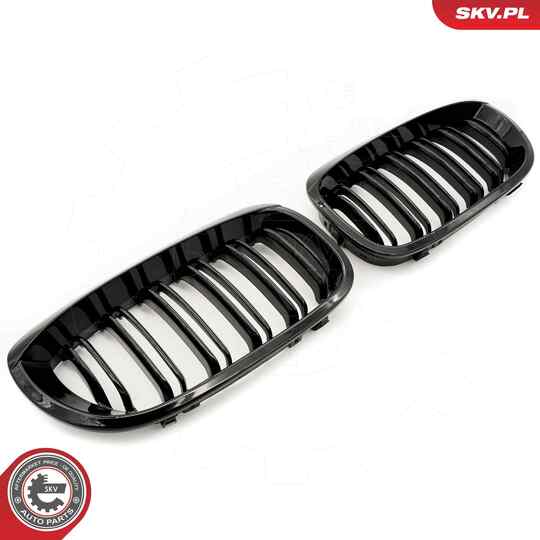 66SKV073 - Radiator Grille 