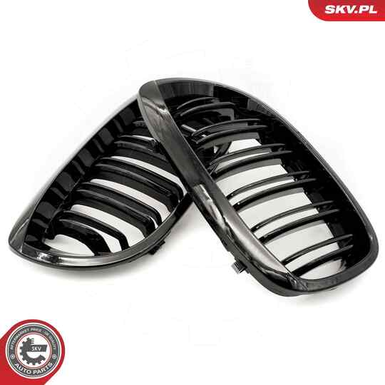 66SKV073 - Radiator Grille 