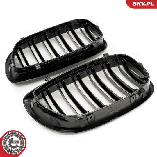 66SKV073 - Radiator Grille 