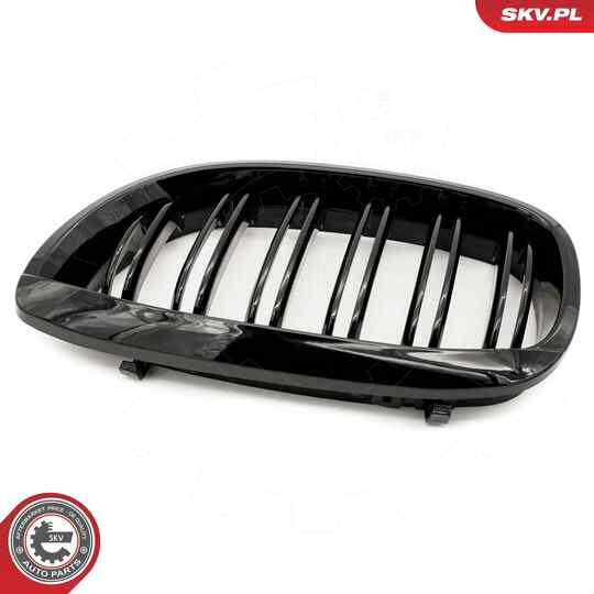 66SKV073 - Radiator Grille 