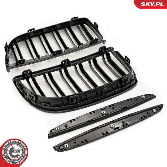 66SKV091 - Radiator Grille 