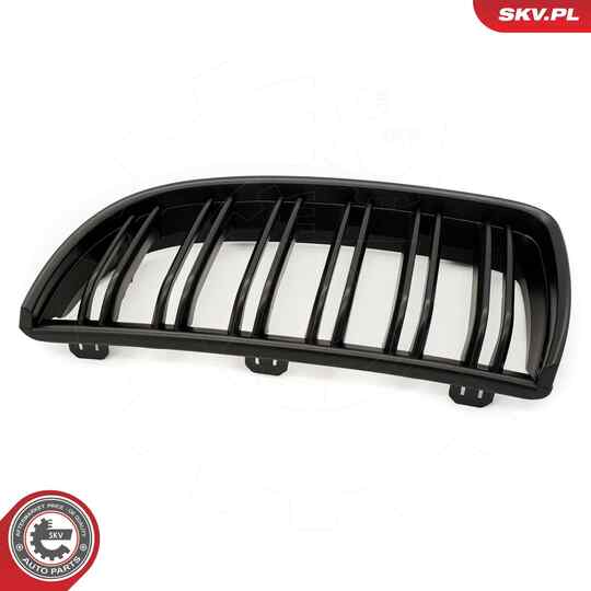 66SKV091 - Radiator Grille 