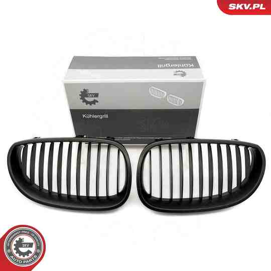 66SKV167 - Radiator Grille 