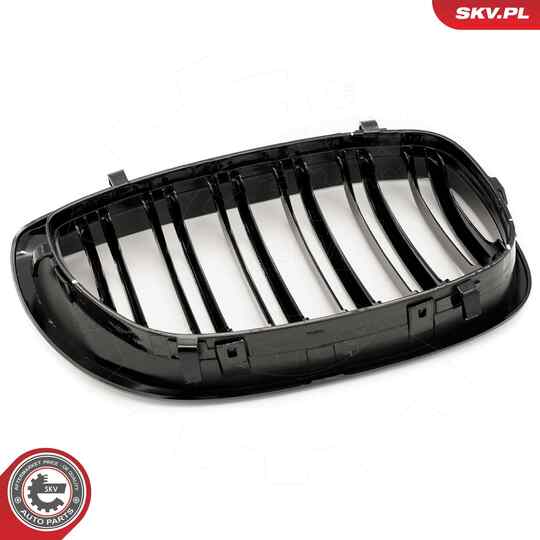 66SKV073 - Radiator Grille 