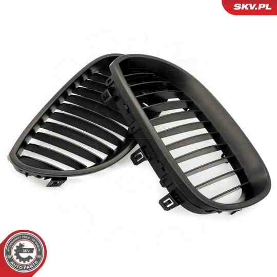 66SKV167 - Radiator Grille 