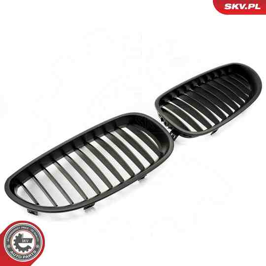 66SKV167 - Radiator Grille 