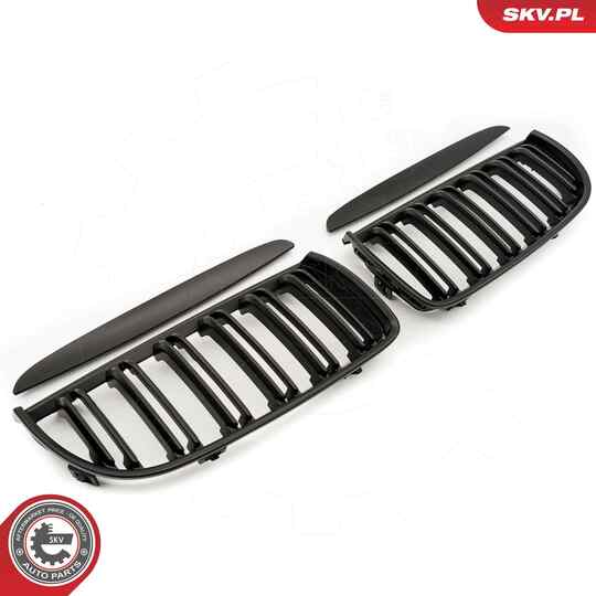 66SKV091 - Radiator Grille 