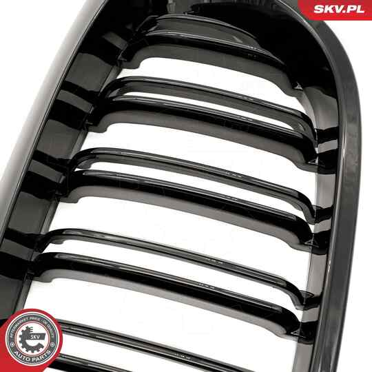 66SKV073 - Radiator Grille 