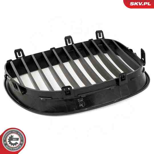 66SKV167 - Radiator Grille 