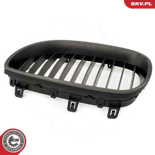 66SKV167 - Radiator Grille 