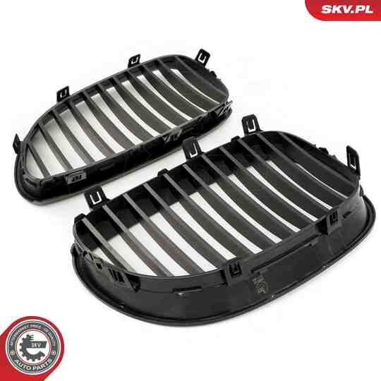 66SKV167 - Radiator Grille 