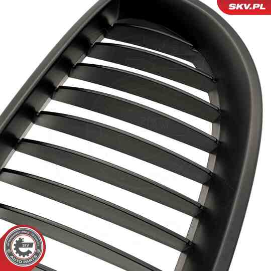 66SKV167 - Radiator Grille 